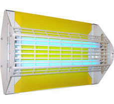 Flytrap Professional